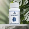 Neurotract