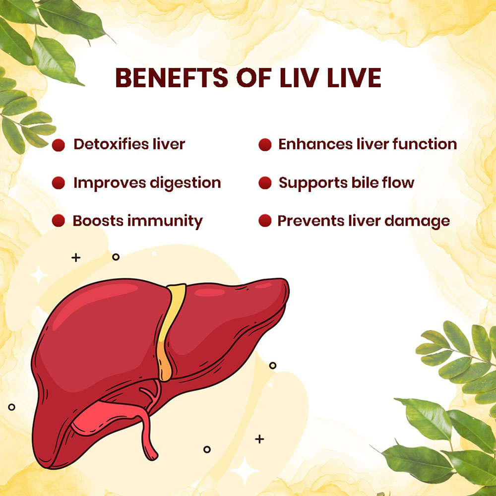 Liv Live Syrup - Image 3